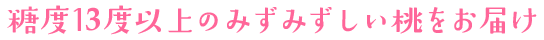 糖度15度以上のみずみずしい桃をお届け