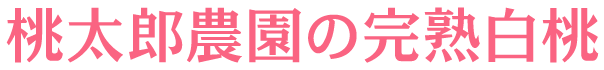 桃太郎農園の完熟白桃